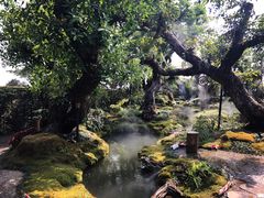 -Chom Cafe and Restaurant