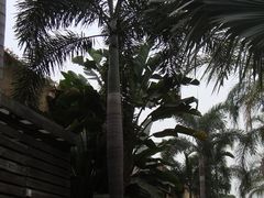 DSC03605-厦门日月谷温泉渡假村