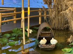 -火福·天湖阁大闸蟹博物馆主题餐厅(浅水湾店)