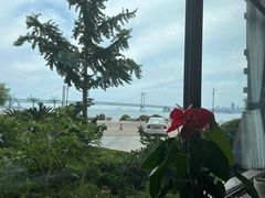 -天顺渔港·海景餐厅(星海广场店)