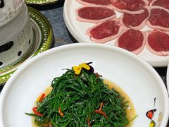 -百草滩羊清水涮羊肉·清真·宁夏盐池滩羊(莲花桥店)