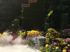 -汇龙潭