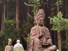 -武陵山森林公园