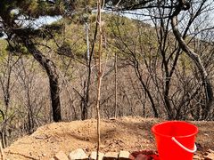 -北岭山森林公园