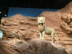 -浙江自然博物院(杭州馆)
