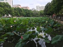 -广西大学(大学东路校区)