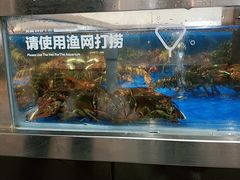 水产区-盒马鲜生(昆城店)