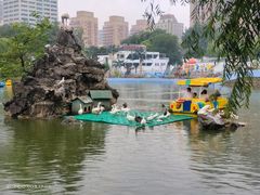 -团结湖公园