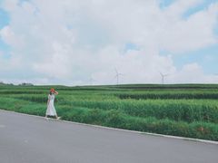 -贵州云顶草原民族风情园