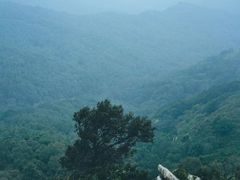 -灵山