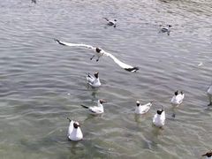 -青海湖二郎剑景区