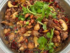 -食神又名厕所兔