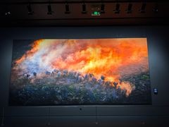 -罗红摄影艺术馆