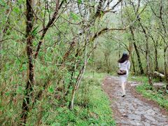 -石棉县孟获城