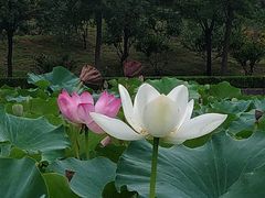 -北京宽沟会议中心