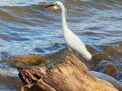 -西昌邛海湿地