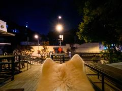 -餐酒吧Com-ing Bar(上海路店)