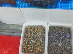-日照大牌檔•小船海鲜(万平口店)