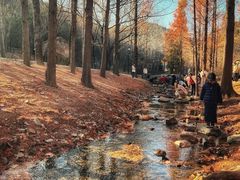 -白水寺森林公园