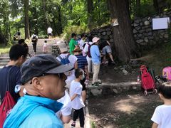 -阳台山自然风景区