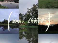 -两河城市森林公园