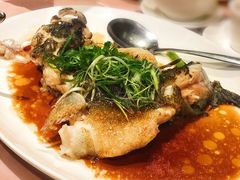 -陶陶居海鲜酒家(新马路店)