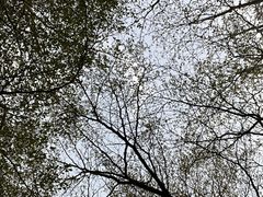 -北辰山景区