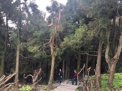 -南岳衡山风景名胜区