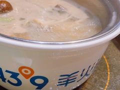 -蒙都43°9羊火锅(平庄店)