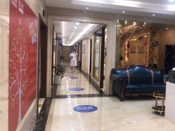 -碧莲盛·不剃发植发