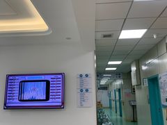 -北京观赏动物医院·24小时大型综合·猫专科·异宠专科