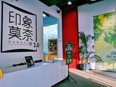 -印象莫奈时光映迹艺术展