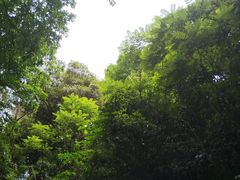 -广州雕塑公园