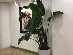 -PETIT PARIS 小巴黎(凯德1818店)