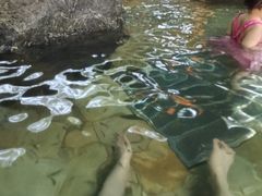 -天目湖涵田半山温泉水乐园