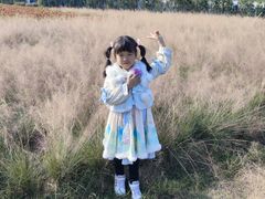 -阳澄湖半岛旅游度假区