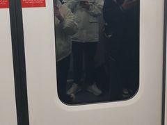 -东方体育中心(地铁站)