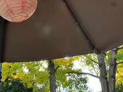 -MAP CHA普洱茶馆(翠湖店)