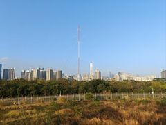 -福田红树林生态公园