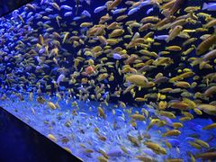 -成都浩海立方海洋公园