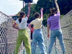 -梦幻奥陶纪景区