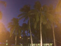 -渔家火锅·海鲜自助餐·演艺(亚龙湾天域酒店)