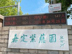 -嘉定紫藤园