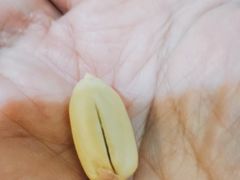 -王老头炒货(天坛东路店)