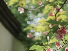 -南京民俗博物馆(甘熙故居)