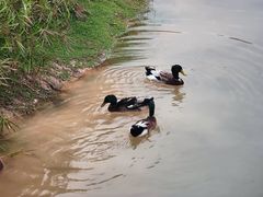 -福田红树林生态公园
