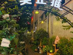 -more than meow吴止猫主题餐厅(承德 中船汇店)