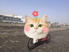 -西安城墙·碑林历史文化景区