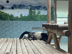 -西安秦岭野生动物园