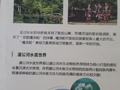 -西双版纳原始森林公园